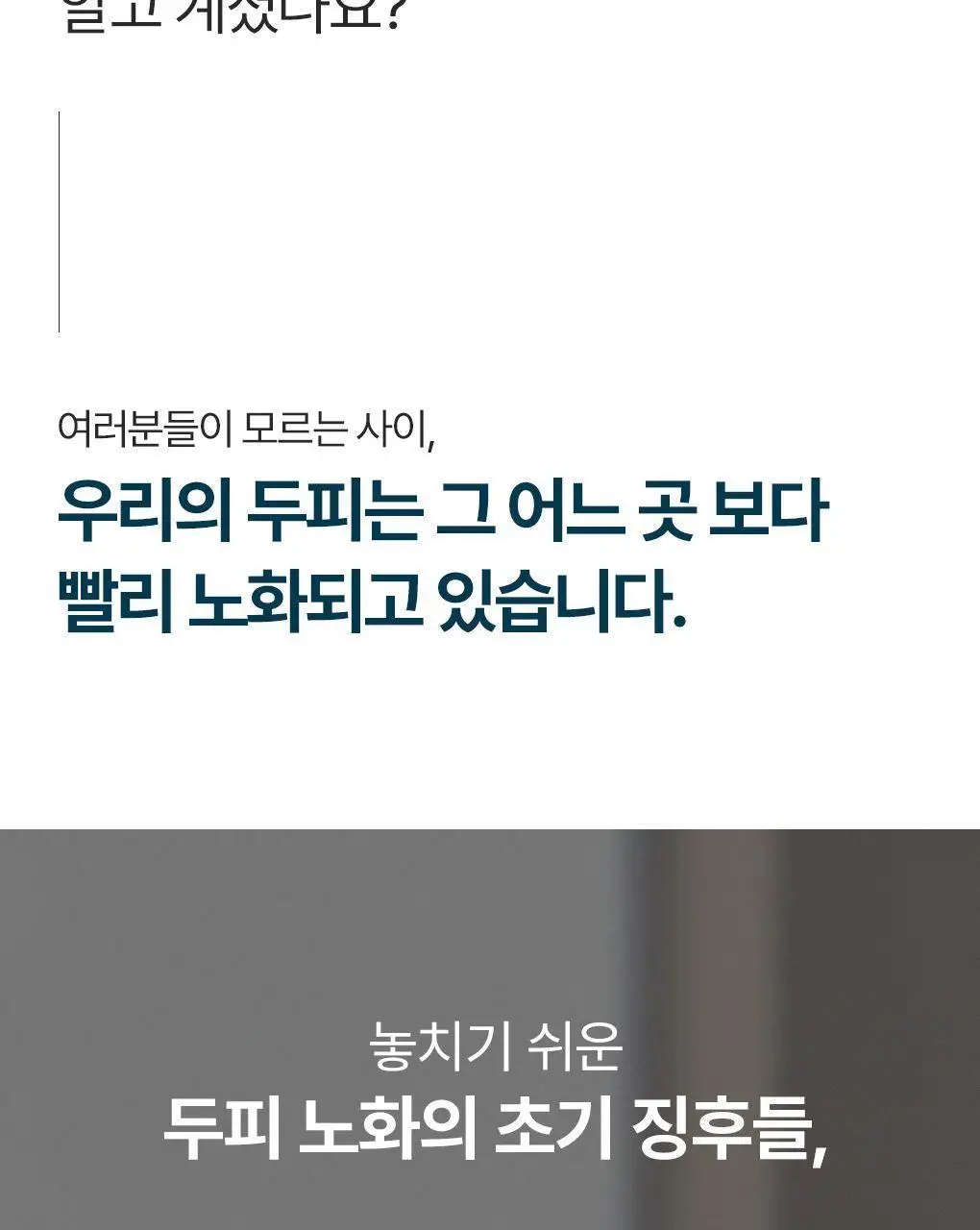 [탄력뿌리볼륨샴푸]라우쉬 윌로우바크 트리트먼트 샴푸 200ml 상세페이지 7